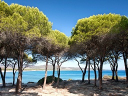 Budoni (Tanaunella) 2
